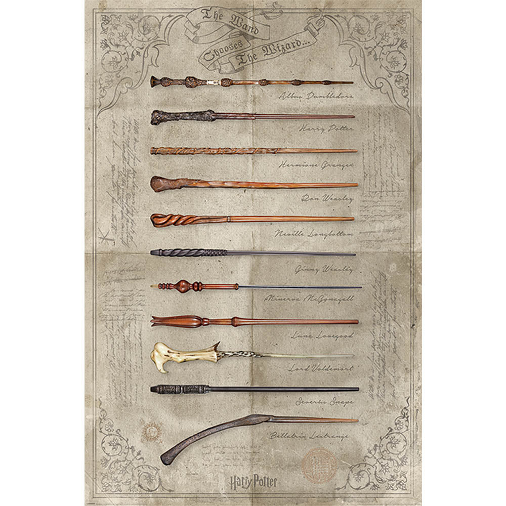 HARRY POTTER - (公開 25周年 ) - The Wand Chooses The Wizard